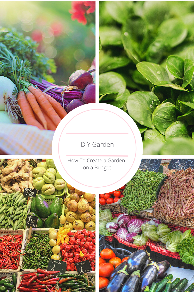 DIY Garden